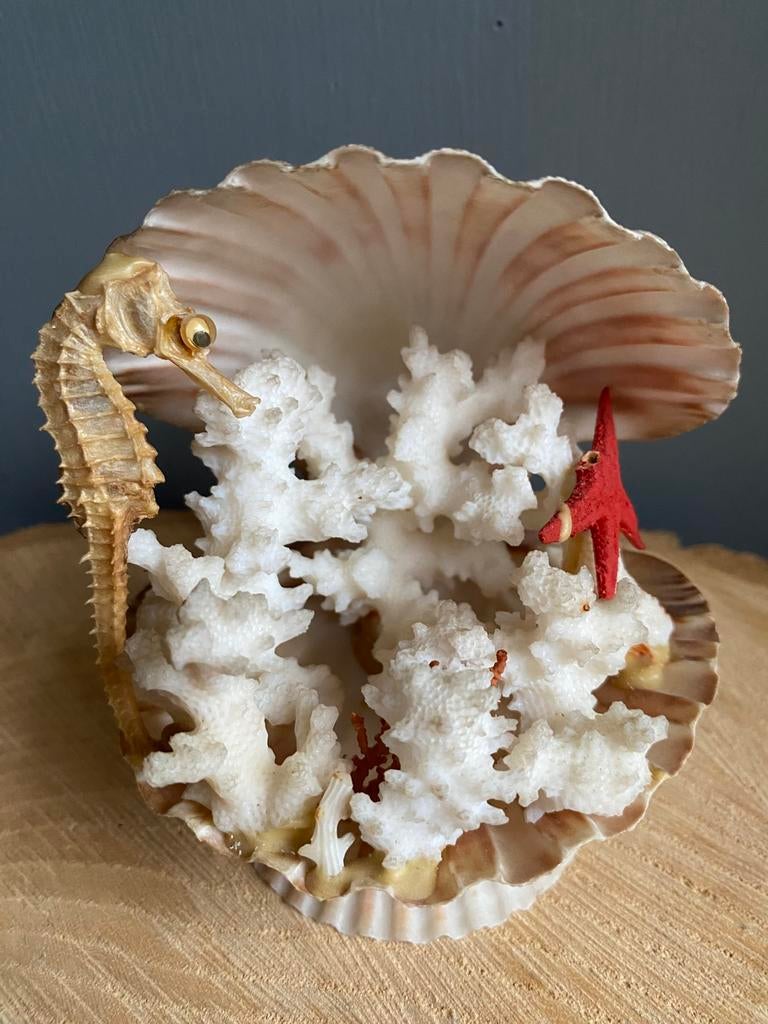Vintage schelpendecoratie!, Antiek en Kunst, Ophalen of Verzenden
