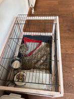 Geatis af te halen gebruikt konijnenhok, Gebruikt, Cavia, Hok, 75 tot 110 cm