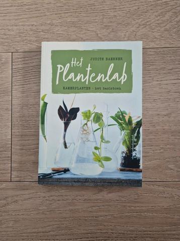 Judith Baehner - Plantenlab

Ondertitel: Kamerplanten beschikbaar voor biedingen