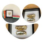 Lijst met hand-gedecoreerde oesters, Huis en Inrichting, Minder dan 50 cm, Zwart, Nieuw, Ophalen of Verzenden