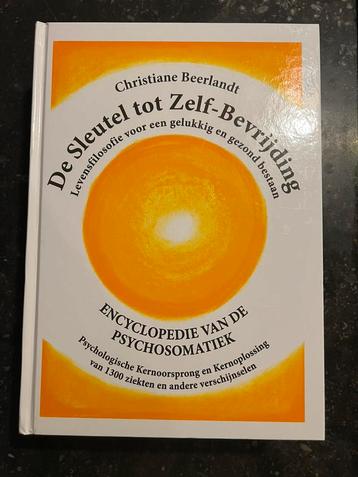 Christiane Beerlandt - De sleutel tot zelf-bevrijding beschikbaar voor biedingen