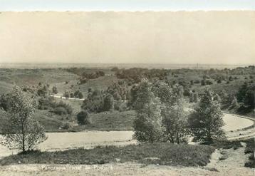 (387-218-027) De Steeg Panorama vanaf de Posbank beschikbaar voor biedingen