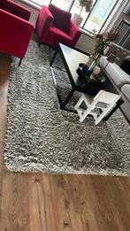 Groot Vloerkleed 290x200 grijs, Ophalen, Gebruikt, 200 cm of meer, 200 cm of meer