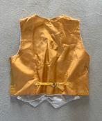 Geel Heren Vest - Maat M, Ophalen of Verzenden, Zo goed als nieuw, Maat 48/50 (M), Geel