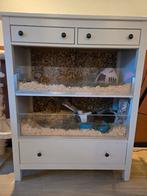 Cavia flat, Dieren en Toebehoren, Knaagdieren en Konijnen | Hokken en Kooien, Ophalen, Zo goed als nieuw, 90 cm of meer, Hok