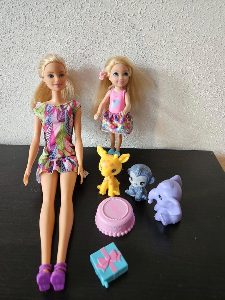Barbie Chelsea The Lost Birthday – Complete set, Kinderen en Baby's, Speelgoed | Poppen, Zo goed als nieuw, Barbie, Ophalen of Verzenden
