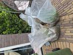 Gratis zakken zand/aarde, Tuin en Terras, Zand, Ophalen, Overige typen