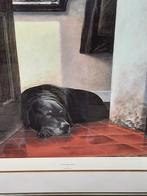 Labrador met pensioen, Nigel Hemming, Crufts 1991, Antiek en Kunst, Ophalen