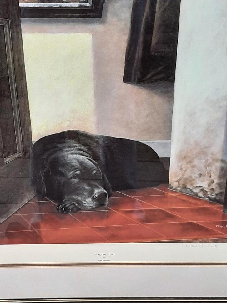 Labrador met pensioen, Nigel Hemming, Crufts 1991, Antiek en Kunst, Kunst | Schilderijen | Klassiek, Ophalen