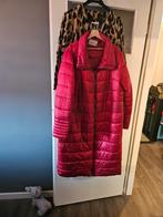 Donkerrode Promiss Jas - Maat 50, Kleding | Dames, Grote Maten, Promiss, Ophalen of Verzenden, Rood, Jas of Mantel