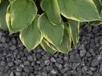 Basalt Split 8-16mm – Bigbags – Antraciet/Zwart – TuinSpot, Verzenden