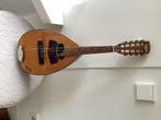 Maestro mandoline genummerd 2049 uit 1969, Muziek en Instrumenten, Ophalen, Gebruikt