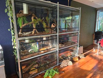 Super stevige stelling voor 1.20m terraria beschikbaar voor biedingen