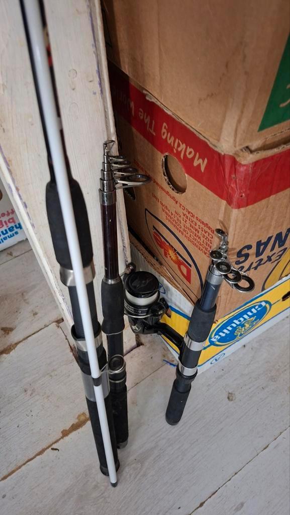 3 hengels en schepnet vissen, Watersport en Boten, Hengelsport | Algemeen, Molen, Ophalen of Verzenden