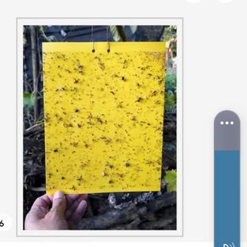 Lijmval insectenval vliegenval muggenval mottenval beschikbaar voor biedingen