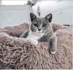 2x district70 FUZZ mand voor kat & hond en reistasjes.,., Ophalen of Verzenden