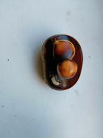 Netsuke gesigneerd Naokazu kastanjes en wormpje, Antiek en Kunst, Ophalen of Verzenden