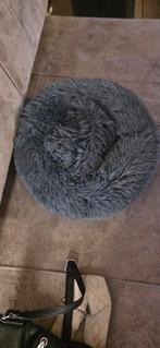 Nieuwe Kitten of kleine katten spullen, Ophalen of Verzenden, Nieuw