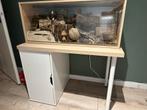 Hamster incl kooi, bureau en toebehoren, Dieren en Toebehoren, Kooi, 110 cm of meer, Zo goed als nieuw, Hamster