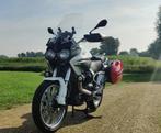 Moto Guzzi Stelvio 1200  8V 90th Anniversary, Motoren, Toermotor, 1200 cc, Particulier, 2 cilinders