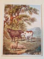 gravure Joseph Martin Kronheim 1862 Koeien Schapen, Antiek en Kunst, Ophalen