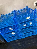 Champignon kratjes te koop €1 per stuk voldoende op voorraad, 60 cm of meer, Minder dan 35 cm, Ophalen of Verzenden, Zo goed als nieuw