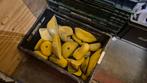 Klimgrepen per kilo - zelf uitzoeken, Ophalen, Gebruikt, Klimsport-accessoire