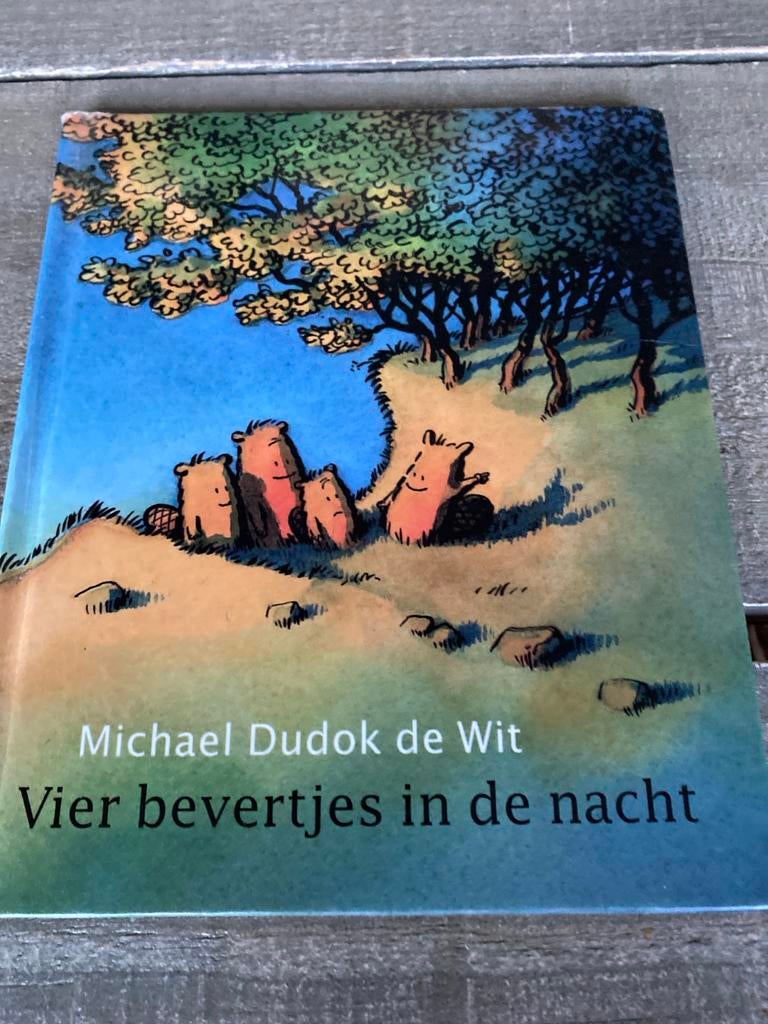 Vier bevertjes in de nacht - Michael Dudok de Wit, Ophalen of Verzenden, Zo goed als nieuw, Fictie algemeen