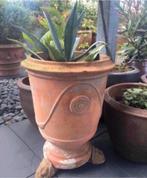 3 Leeuwenkoppen oude terracotta onder een grote bloempotten, 40 cm of meer, Rond, Ophalen of Verzenden, Zo goed als nieuw