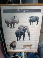 Poster, Huis en Inrichting, Woonaccessoires | Schilderijen, Tekeningen en Foto's, Ophalen, Minder dan 50 cm, Zo goed als nieuw