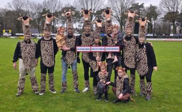 Giraffe beschikbaar voor biedingen