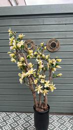 Nieuw handmade magnoliaboom, Ophalen, Nieuw, Binnen