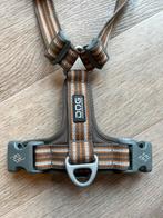 Dog copenhagen tuig Y tuig, Ophalen of Verzenden, Gebruikt