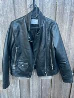 Bikerjack maat 152, Ophalen, Gebruikt, Meisje, Zara