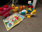 Duplo Bouwstenen met Voorbeeldkaarten, Ophalen, Gebruikt, Losse stenen, Duplo