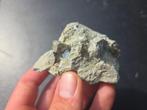 Pyriet Navajun, Spanje, Verzamelen, Mineralen en Fossielen, Ophalen of Verzenden, Mineraal
