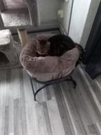 Opvang gezocht tijdelijk, Ophalen