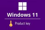 Windows 11 Pro licentie, Computers en Software, Besturingssoftware, Nieuw, Ophalen of Verzenden, Windows