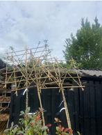 Lei fruitbomen voor fruit uit eigen tuin nu Planttijd.., Ophalen of Verzenden, Lente, Volle zon, Overige soorten