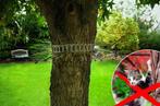 Ringen tegen het klimmen in de bomen, Ophalen of Verzenden, Zo goed als nieuw