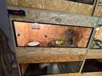 Osb terrarium 100 x40x53, Ophalen, Zo goed als nieuw