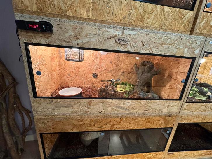 Osb terrarium 100 x40x53, Dieren en Toebehoren, Reptielen en Amfibieën | Toebehoren, Zo goed als nieuw, Ophalen