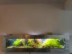 Wandaquarium flatscreen aquarium, Ophalen, Leeg aquarium