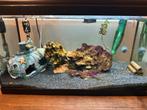Aquarium jewel 60, Dieren en Toebehoren, Vissen | Aquaria en Toebehoren, Ophalen, Gebruikt, Leeg aquarium