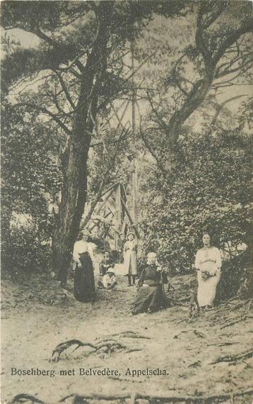 (388-419-021) Appelscha Boschberg met Belvedere beschikbaar voor biedingen