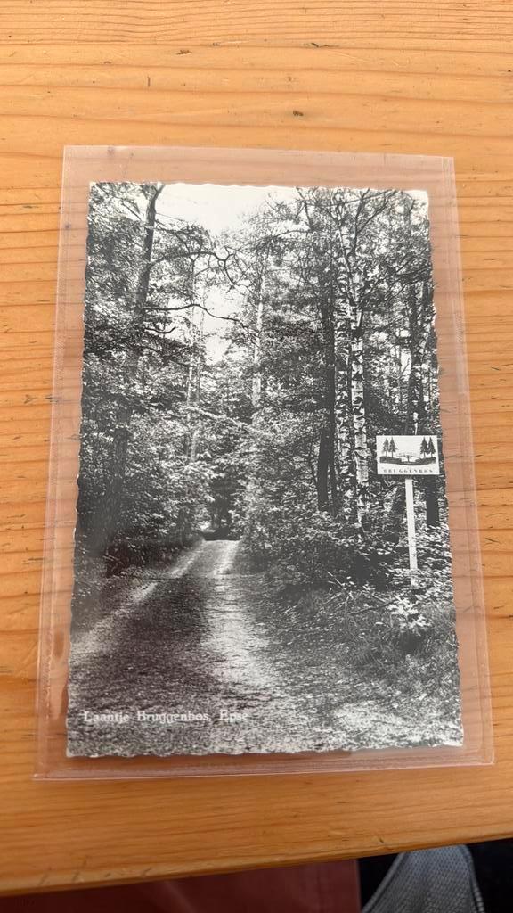 Ansichtkaart Epse Laantje Bruggenbos, Verzamelen, Ansichtkaarten | Nederland, Verzenden
