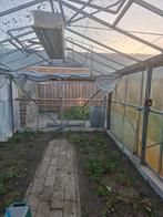 GRATIS! Grote grote tuinkas, Tuin en Terras, Kassen, Ophalen, Gebruikt, Kweekkas, Glas