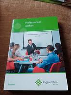 Professioneel Werken - Angerenstein Welzijn, Ophalen of Verzenden, Zo goed als nieuw, MBO, Angerenstein Welzijn