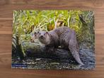 Puzzel 500 stukjes Otter van Natuurmonumenten, Ophalen of Verzenden, Meer dan 50 stukjes, 6 jaar of ouder