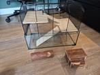 Knaagdieren kooi met accesoires, Dieren en Toebehoren, Kooi, Gebruikt, Ophalen, Minder dan 60 cm